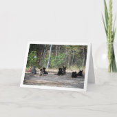 Hunde an der Schulungsschule Karte (Vorderseite)