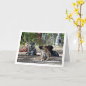 Hunde an der Schulungsschule Karte (Gelbe Blume)
