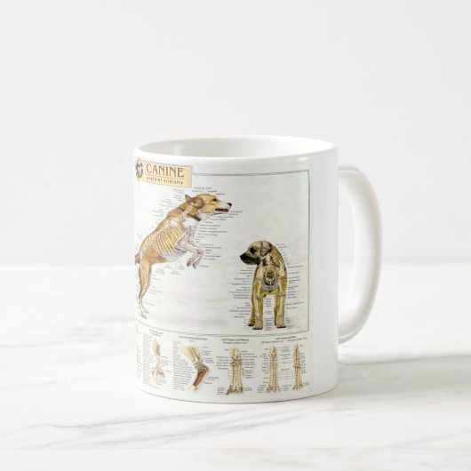 Hunde- Anatomie-Tasse Kaffeetasse (VorderseiteRechts)