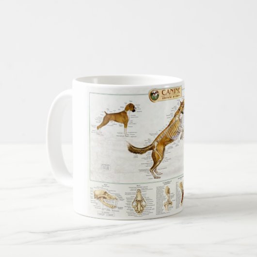 Hunde- Anatomie-Tasse Kaffeetasse (Vorderseite Links)