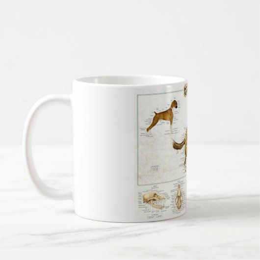 Hunde- Anatomie-Tasse Kaffeetasse (Links)