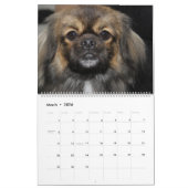 HUNDE ANZEIGEN KALENDER (Mär 2026)