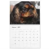 HUNDE ANZEIGEN KALENDER (Feb 2027)