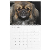 HUNDE ANZEIGEN KALENDER (Mär 2027)