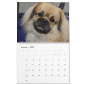 HUNDE ANZEIGEN KALENDER (Jan 2027)