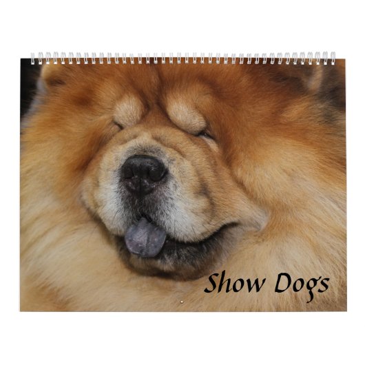 HUNDE ANZEIGEN KALENDER (Titelbild)