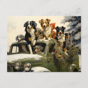 Hunde auf dem Baumfarm Vintage Postkarte