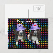 Hunde auf der Postkarte sind Sterne (Vorne/Hinten)