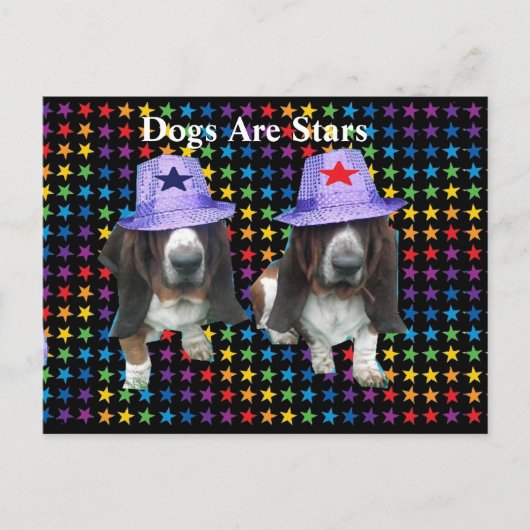 Hunde auf der Postkarte sind Sterne (Vorderseite)