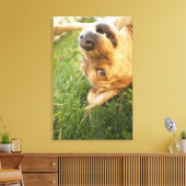 Hunde auf der Rückseite rollen Leinwanddruck (Insitu (Wohnzimmer))