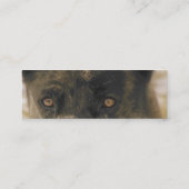 Hunde Augen Mini Visitenkarte (Rückseite)