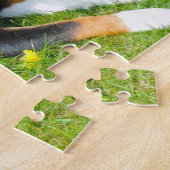 Hunde aus dem Appenzeller Gebirge. Puzzle (Seite)