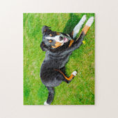 Hunde aus dem Appenzeller Gebirge. Puzzle (Vertikal)