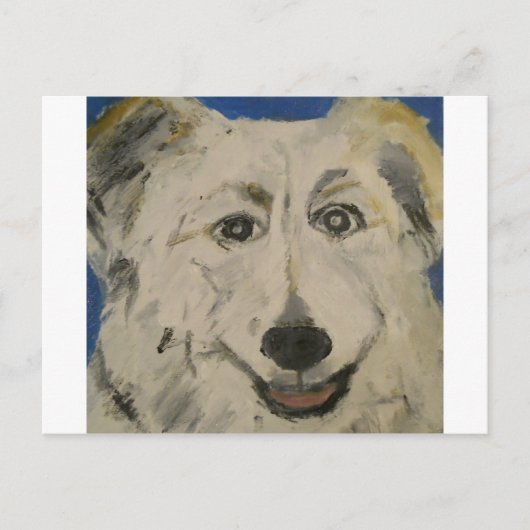 Hunde aus Ginsburg Postkarte (Vorderseite)