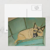Hunde aus Ginsburg Postkarte (Vorne/Hinten)