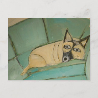 Hunde aus Ginsburg Postkarte