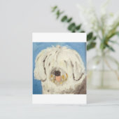 Hunde aus Ginsburg Postkarte (Stehend Vorderseite)