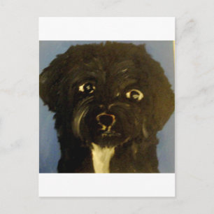 Hunde aus Ginsburg Postkarte