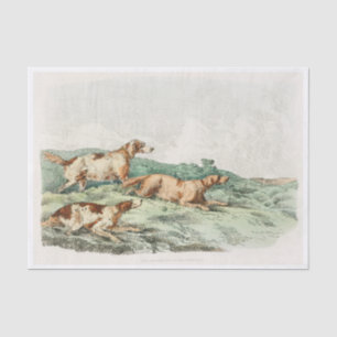 Hunde aus Sportskizzen (1817-1818) von Henry Seidenpapier