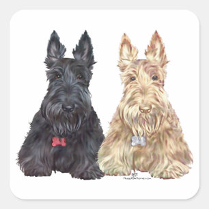 Hunde aus Wheaten und Black Scottie Quadratischer Aufkleber