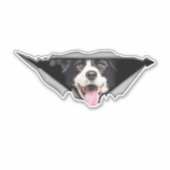 Hunde-Autoaufkleber Aufkleber (Vorderseite)