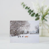 Hunde bei Weihnachten in schneebedeckter Landschaf Postkarte (Stehend Vorderseite)