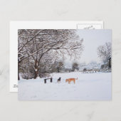 Hunde bei Weihnachten in schneebedeckter Landschaf Postkarte (Vorne/Hinten)