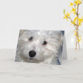 Hunde-Beileid Karte (Gelbe Blume)