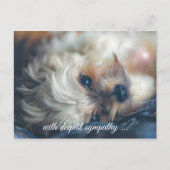 Hunde Beileid Postkarte (Vorderseite)