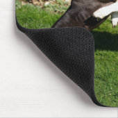 Hunde bekämpfen mousepad (Ecke)