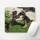 Hunde bekämpfen mousepad (Mit Mouse)