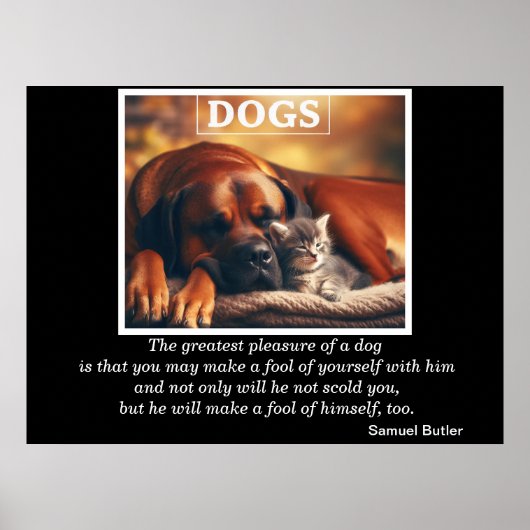 Hunde Bester Freund Kitten Cuddles Poster (Vorne)