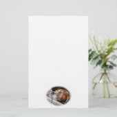 HUNDE BRIEFPAPIER (Stehend Vorderseite)
