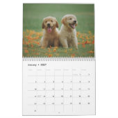 Hunde Calender 2025 Kalender (Jan 2027)