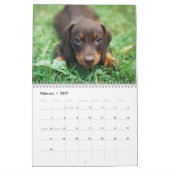 Hunde Calender 2025 Kalender (Feb 2027)