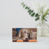 Hunde Care Business Schokolade Labrador Retriever Visitenkarte (Stehend Vorderseite)