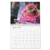 Hunde dem Kalender in der Kostüm-2019 (Feb 2027)