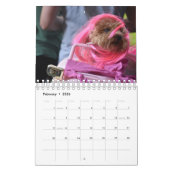 Hunde dem Kalender in der Kostüm-2019 (Feb 2026)