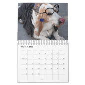 Hunde dem Kalender in der Kostüm-2019 (Mär 2026)