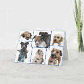 Hunde des Johnston-Landkreises Karte (Vorderseite)