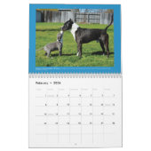 Hunde des Kalenders der Chako Kalender (Feb 2026)