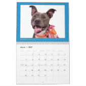 Hunde des Kalenders der Chako Kalender (Mär 2027)