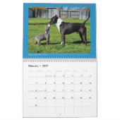 Hunde des Kalenders der Chako Kalender (Feb 2027)