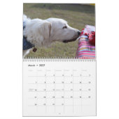 Hunde des Kalenders des Bluebonnet-2018 Kalender (Mär 2027)