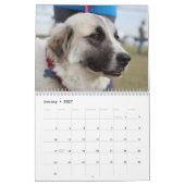 Hunde des Kalenders des Bluebonnet-2018 Kalender (Jan 2027)