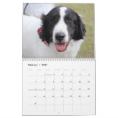 Hunde des Kalenders des Bluebonnet-2018 Kalender (Feb 2027)