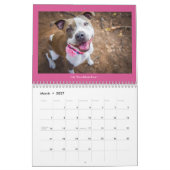Hunde des Milchkalenders Kalender (Mär 2027)