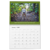Hunde des Milchkalenders Kalender (Jan 2027)