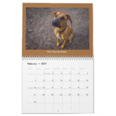 Hunde des Milchkalenders Kalender (Feb 2027)