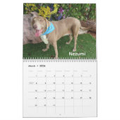 Hunde des Tierschutzkalenders Oklahoma City Kalender (Mär 2026)